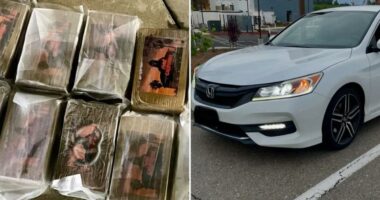 âHotel Californiaâ cocaine worth $1M seized in Central Valley bust